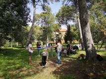 WhatsApp-Image-2026-04-10-at-11.29.21