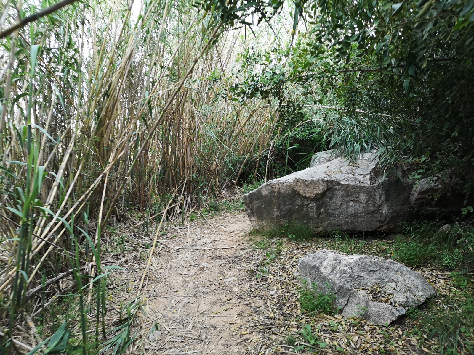 RUTA_BARRANC-HORTETA_AVVVEDAT RUTA_BARRANC-HORTETA_AVVVEDAT