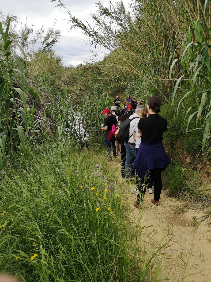 RUTA_BARRANC-HORTETA_AVVVEDAT RUTA_BARRANC-HORTETA_AVVVEDAT