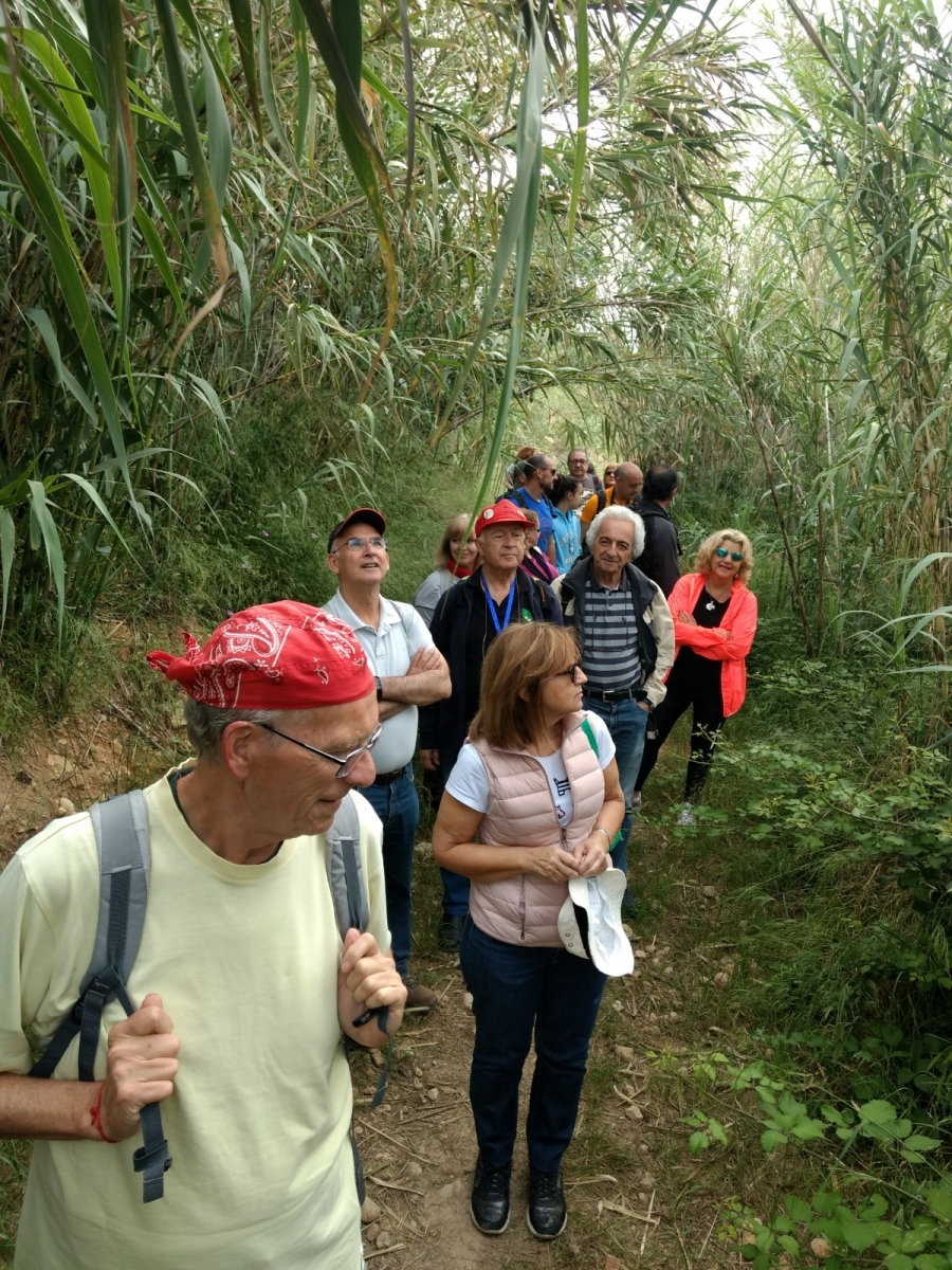 RUTA_BARRANC-HORTETA_AVVVEDAT RUTA_BARRANC-HORTETA_AVVVEDAT