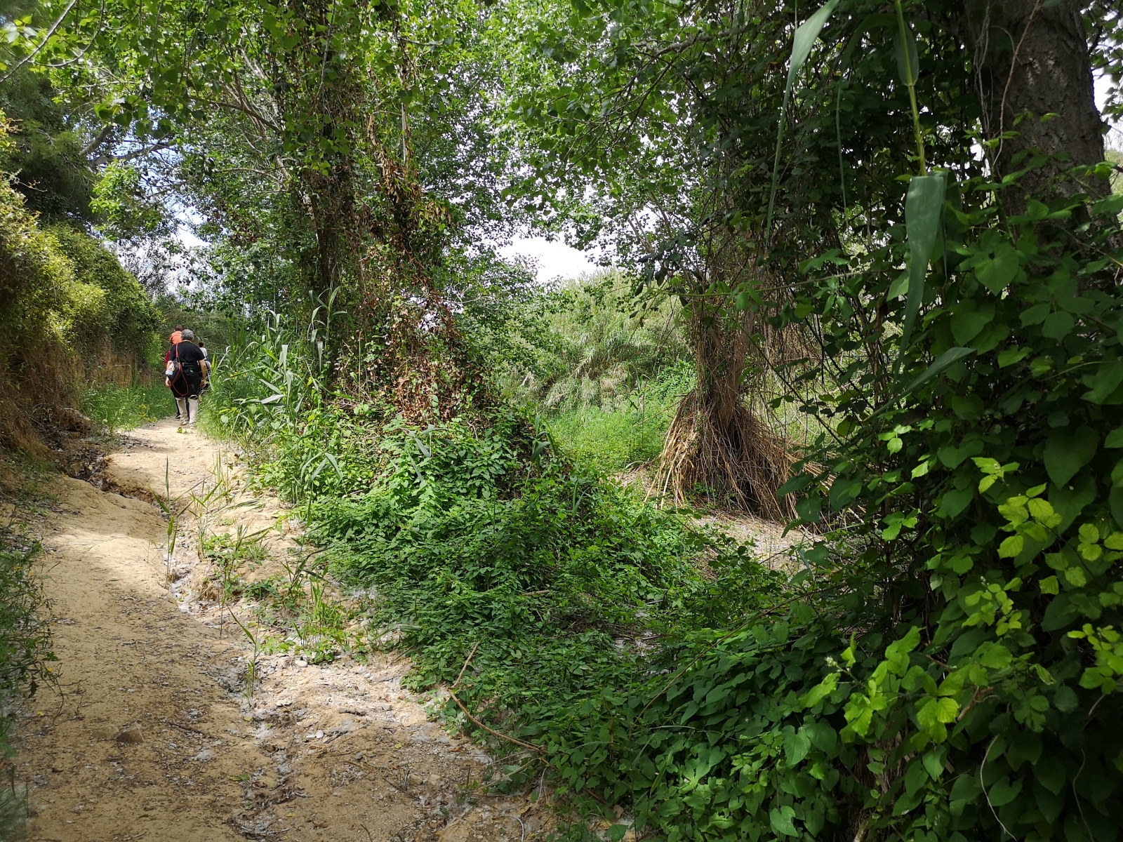 RUTA_BARRANC-HORTETA_AVVVEDAT RUTA_BARRANC-HORTETA_AVVVEDAT