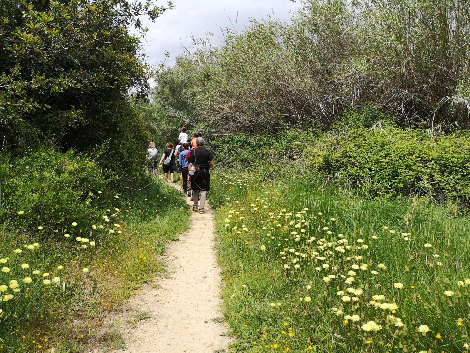 RUTA_BARRANC-HORTETA_AVVVEDAT RUTA_BARRANC-HORTETA_AVVVEDAT